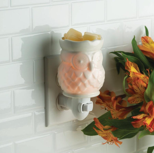 Pluggable Melt Warmers