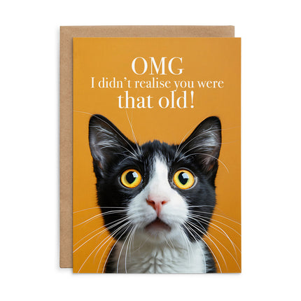 OMG I didn't realise - Cat Birthday Card