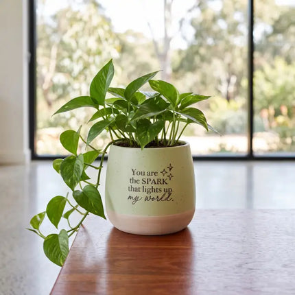 Whimsical Garden World Positive Pot