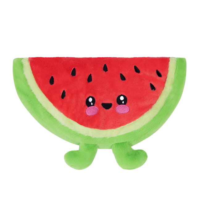 Watermelon Heat Pack / Pillow