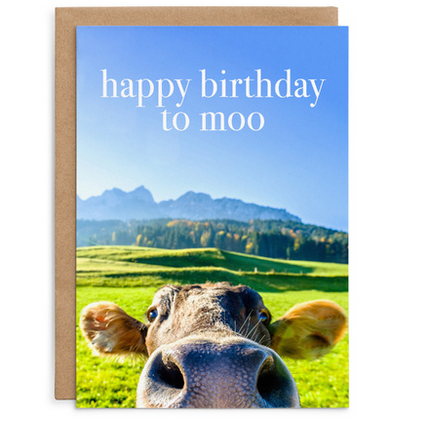 Happy Birthday to moo - Cow Birthday Card
