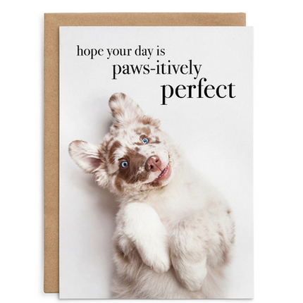 Hope your day is paws-itively perfect - Dog Birthday Card