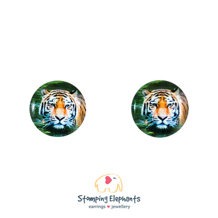 Studs Earrings