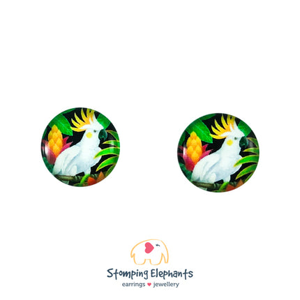 Studs Earrings