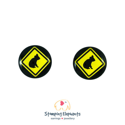 Studs Earrings