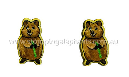 Studs Earrings