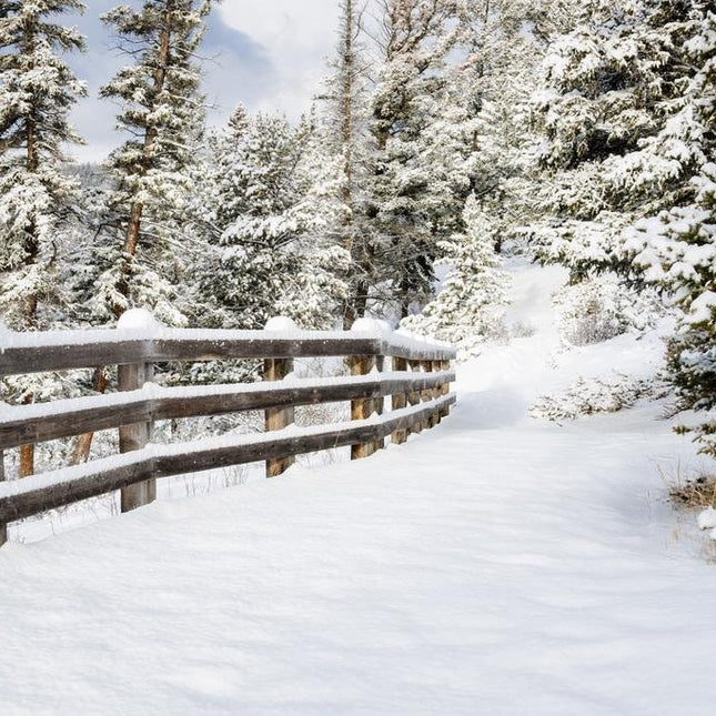 Christmas Candle - Snowy Forest