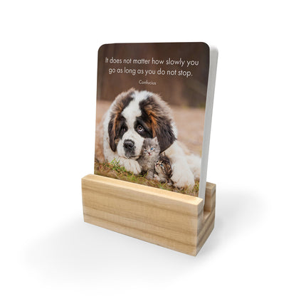Little Paws - 24 Animal affirmation cards + stand