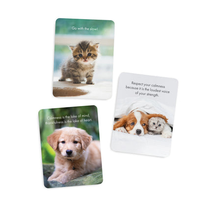 Little Paws - 24 Animal affirmation cards + stand