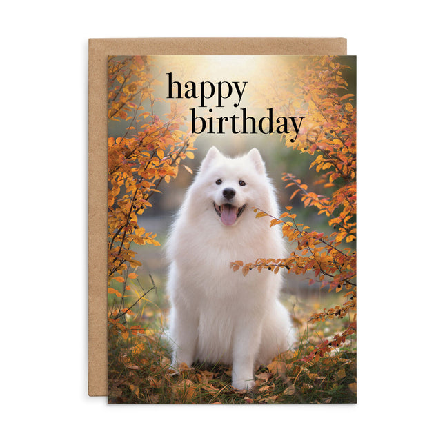 Happy Birthday - Paw-some Dog Birthday Card