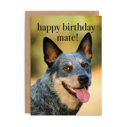 Happy Birthday mate! - Dog Birthday Card
