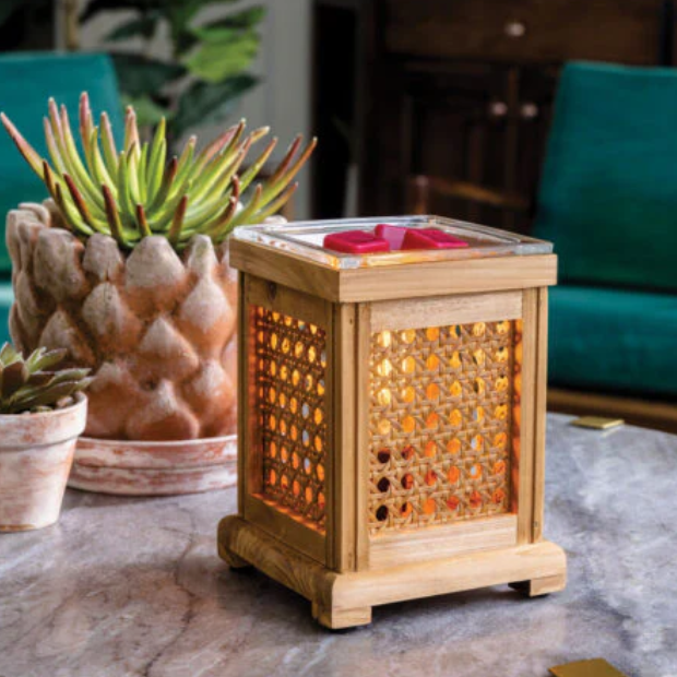 Wood Cane and Wood Warmer