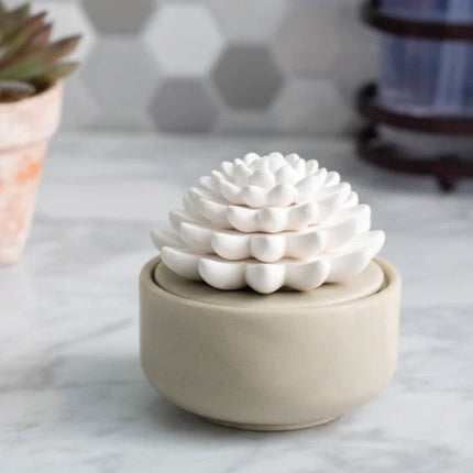 Succulent Porcelain Passive Diffuser - FREE ESSENTIAL OIL INCLUDED
