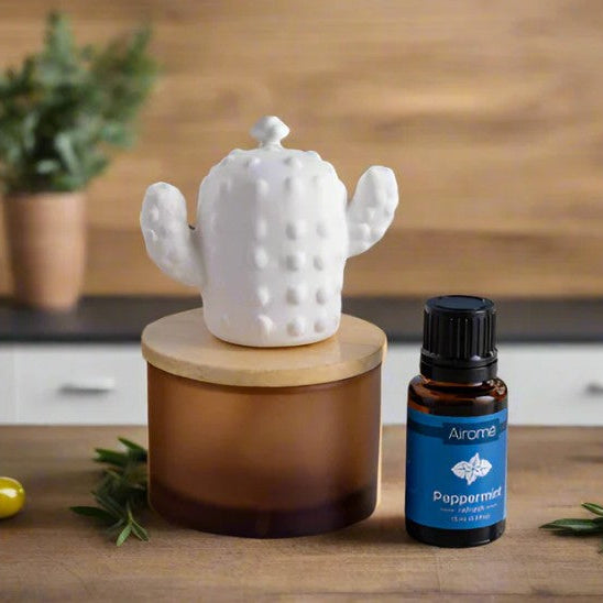 Cactus Porcelain Passive Diffuser