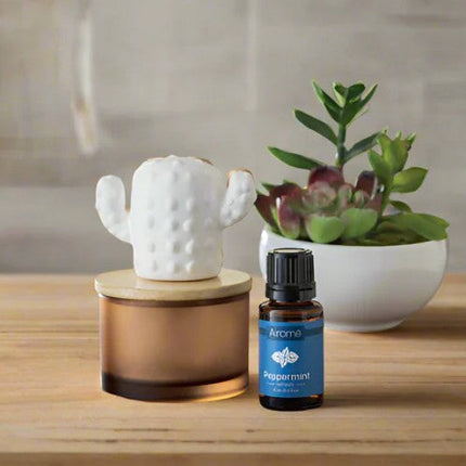 Cactus Porcelain Passive Diffuser