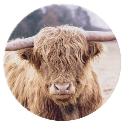 Cow Ceramic Coaster