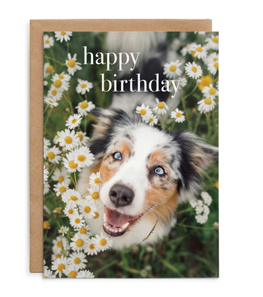 Happy Birthday - Dog Birthday Card