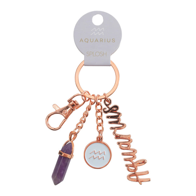 Aquarius Keychain