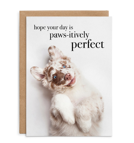 Hope your day is paws-itively perfect - Dog Birthday Card