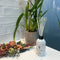 Essential Oils & Electric Diffusers