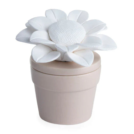 Sunflower Porcelain Passive Essential Oil Diffuser inc 15 mL bottle of pure Peppermint essential oil