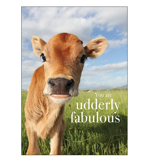 You Are Udderly Fabulous - Animal Greeting Card