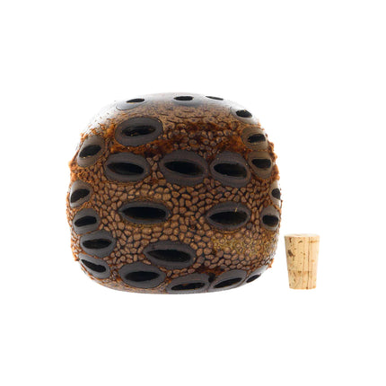 Banksia Seed Diffuser Pod