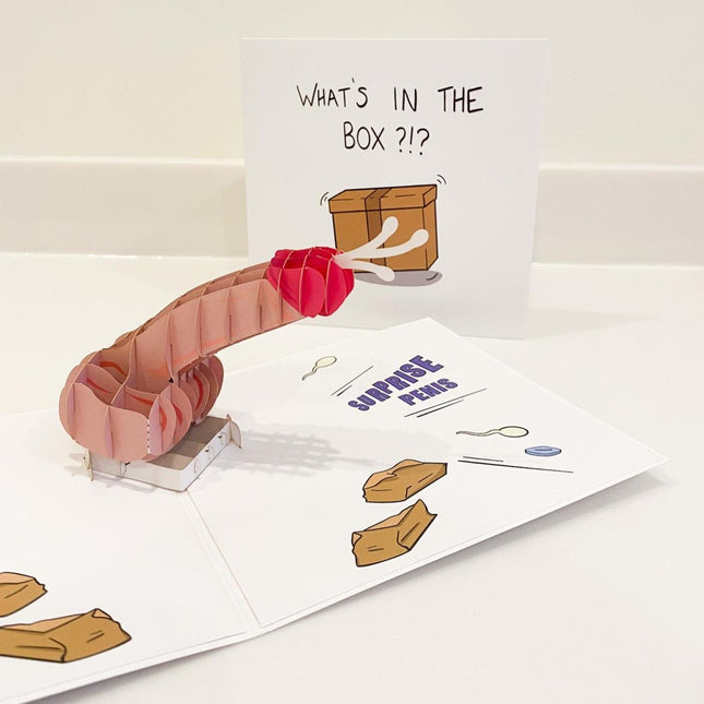 R18 - The “What’s in the Box” Pop-up D*ck Card